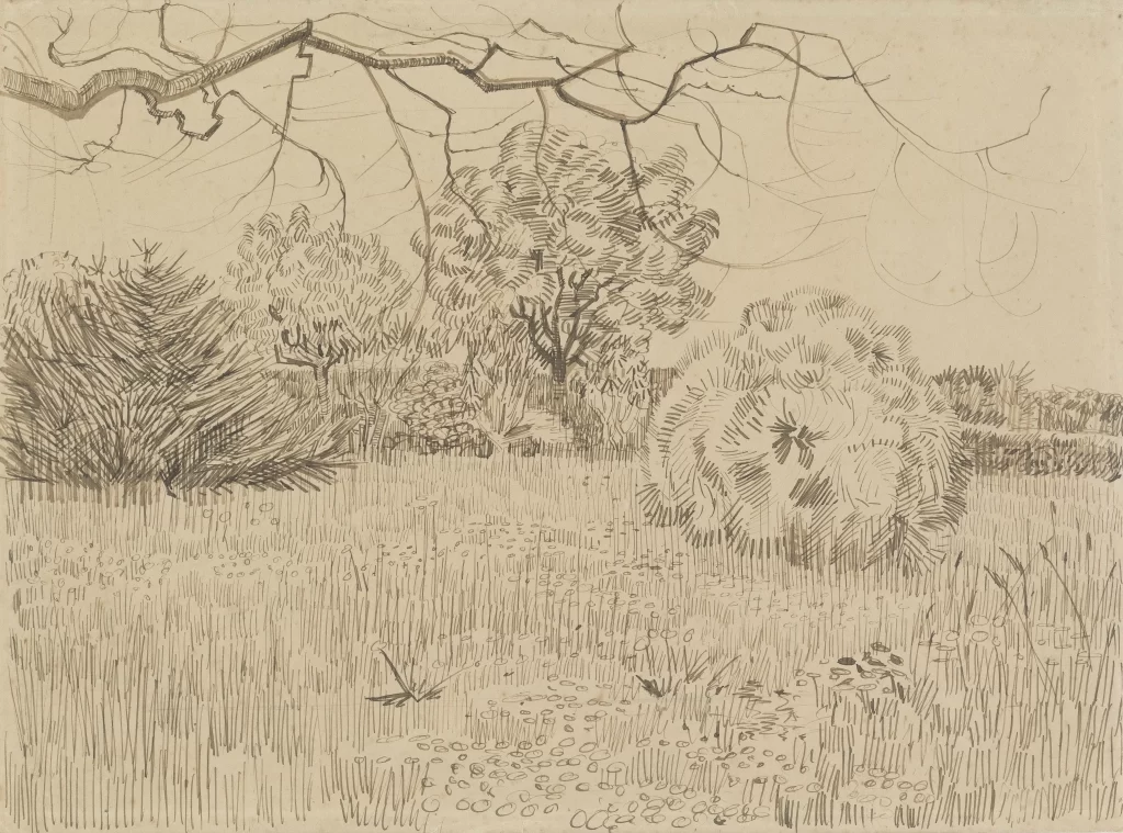 Trees Grass Bushes Branches Van Gogh