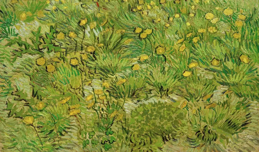 A Field with dandelions Van Gogh