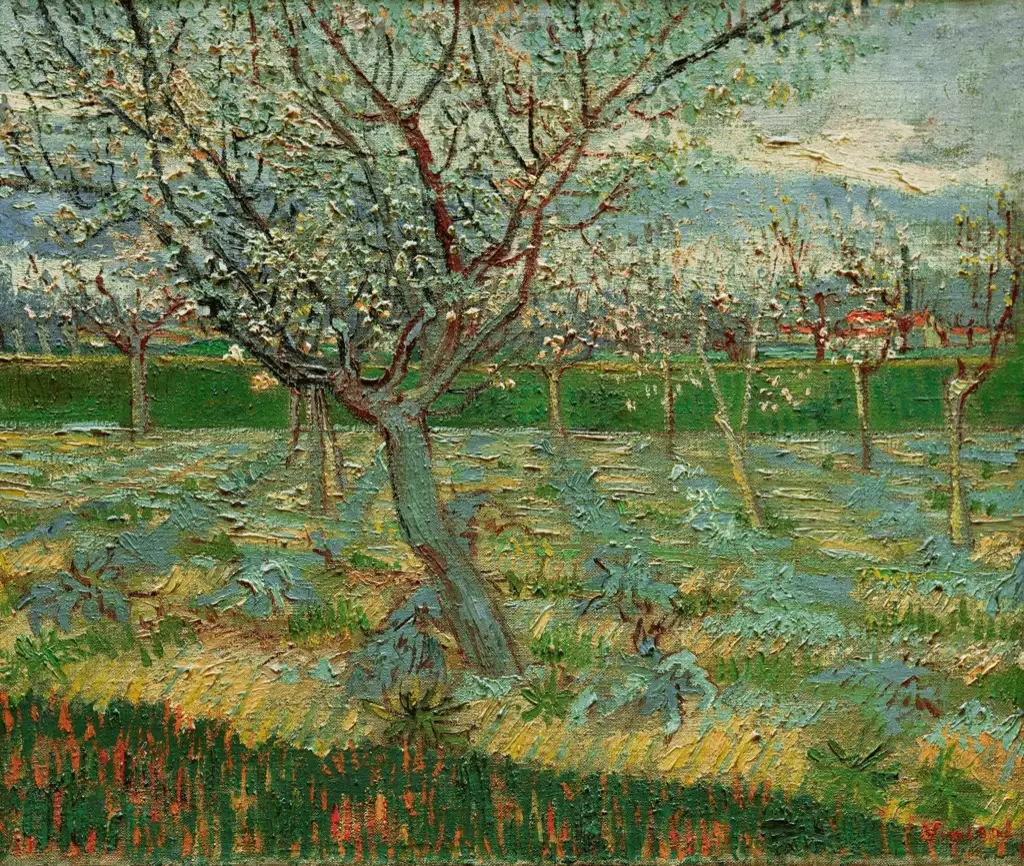 Apricot Trees in Blossom Van Gogh