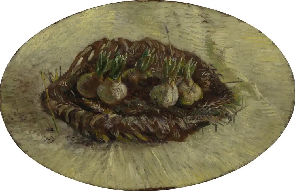 Basket of Hyacinth Bulbs Van Gogh