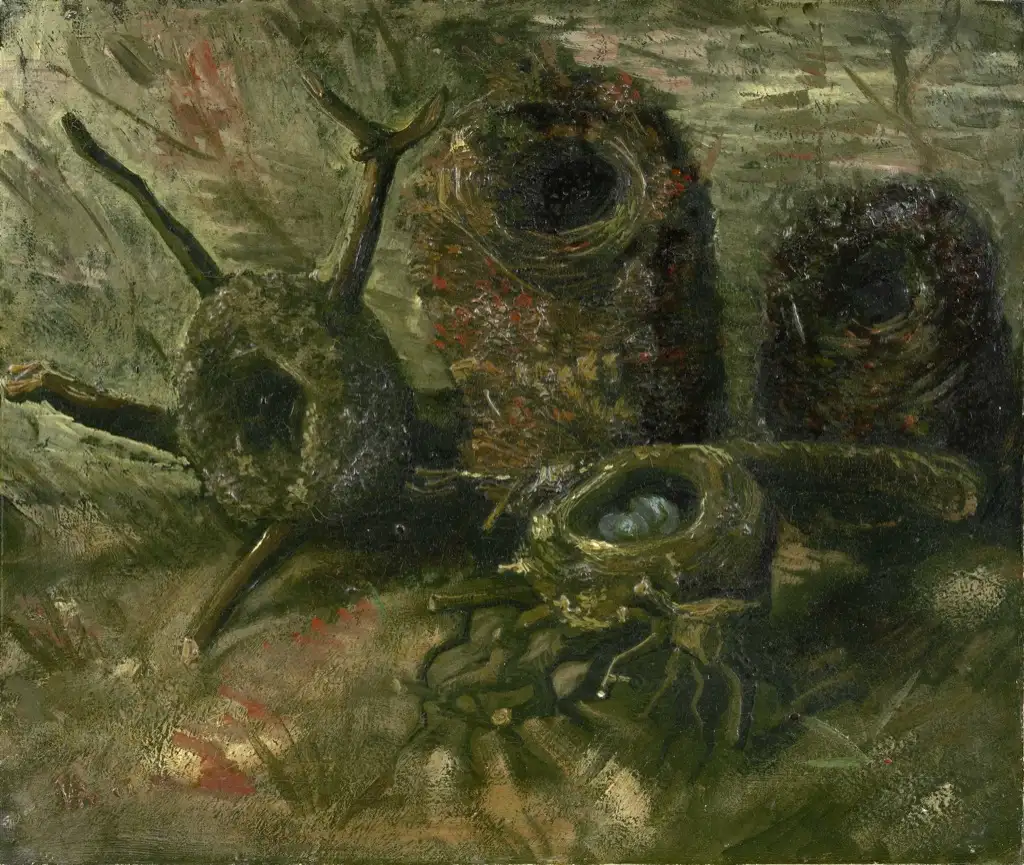 Birds Nests Van Gogh