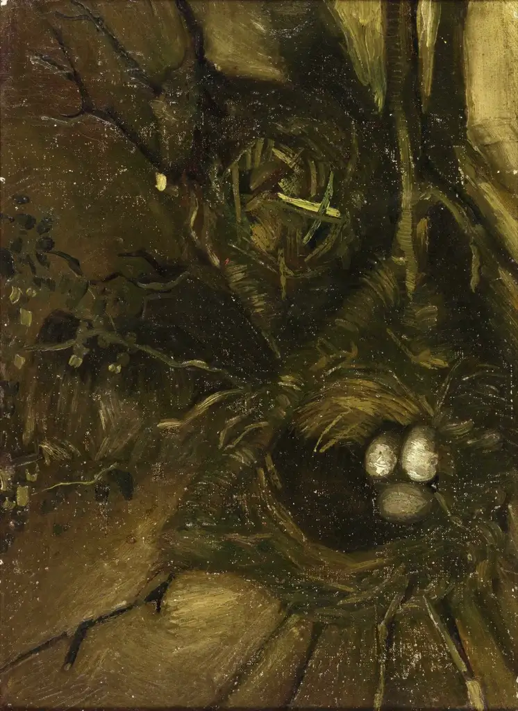 Birds Nests Van Gogh