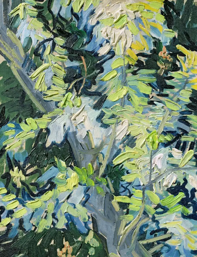 Blossoming Acacia Branches Van Gogh