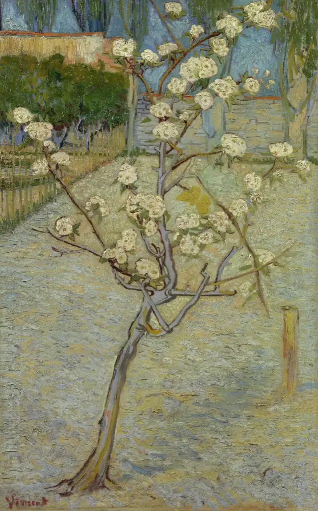 Blossoming Pear Tree Van Gogh