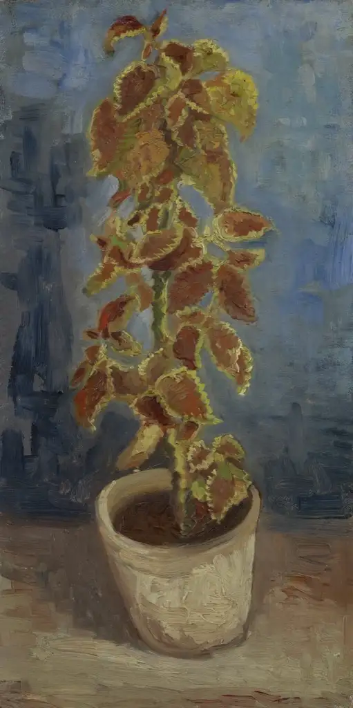 Coleus Plant in a Flowerpot 1886 Van Gogh