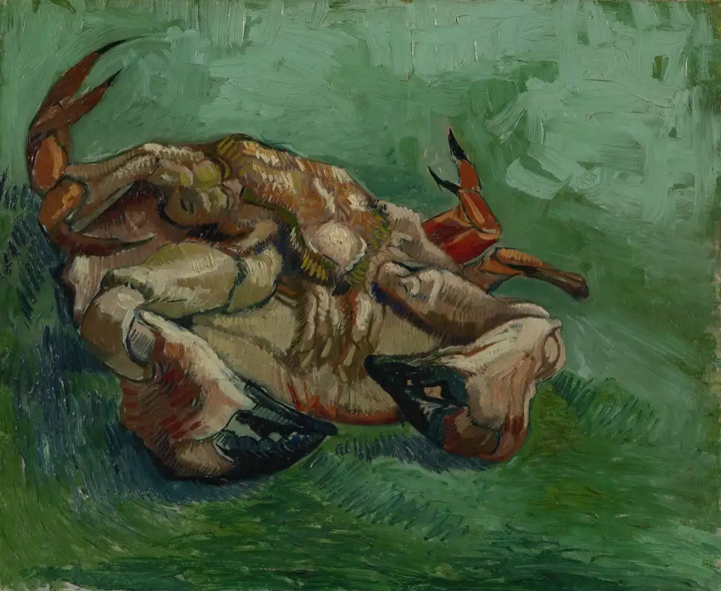 Crab on Its Back Van Gogh