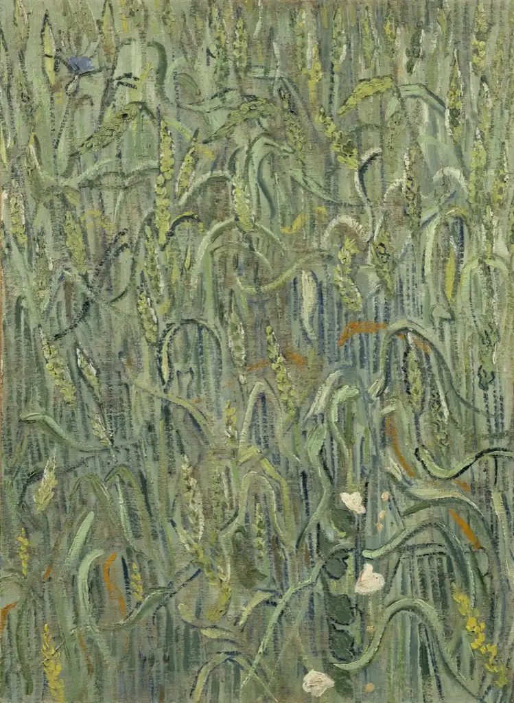 Ears of Wheat Van Gogh