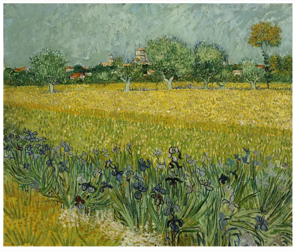 Field with Flowers near Arles 1888 Van Gogh