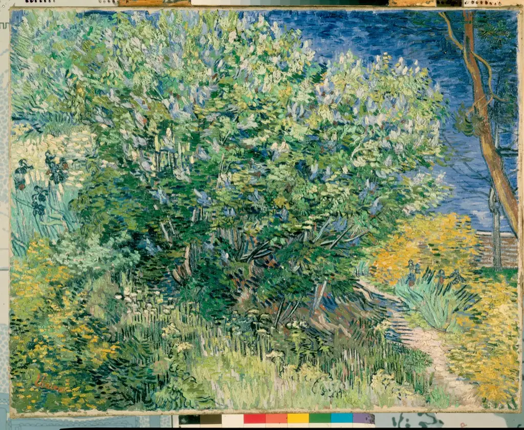 Gogh Vincent van Lilac Bush Van Gogh
