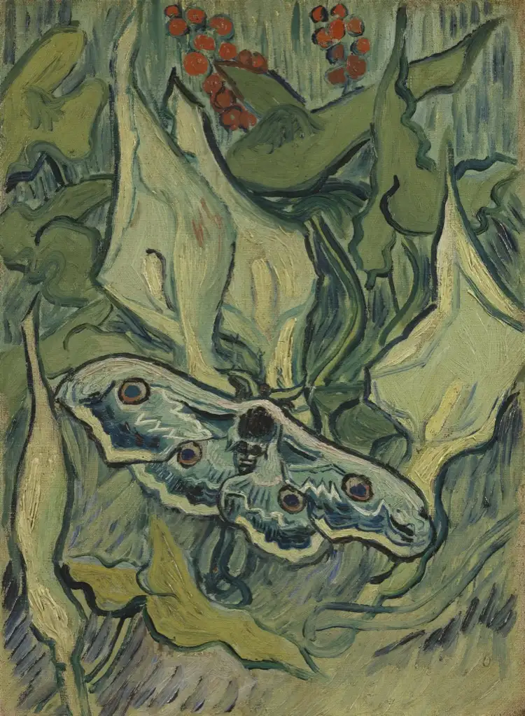 Great Peacock Moth Van Gogh