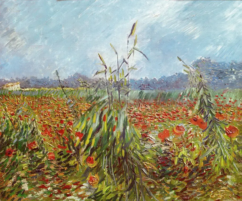 Green Ears of Wheat Van Gogh