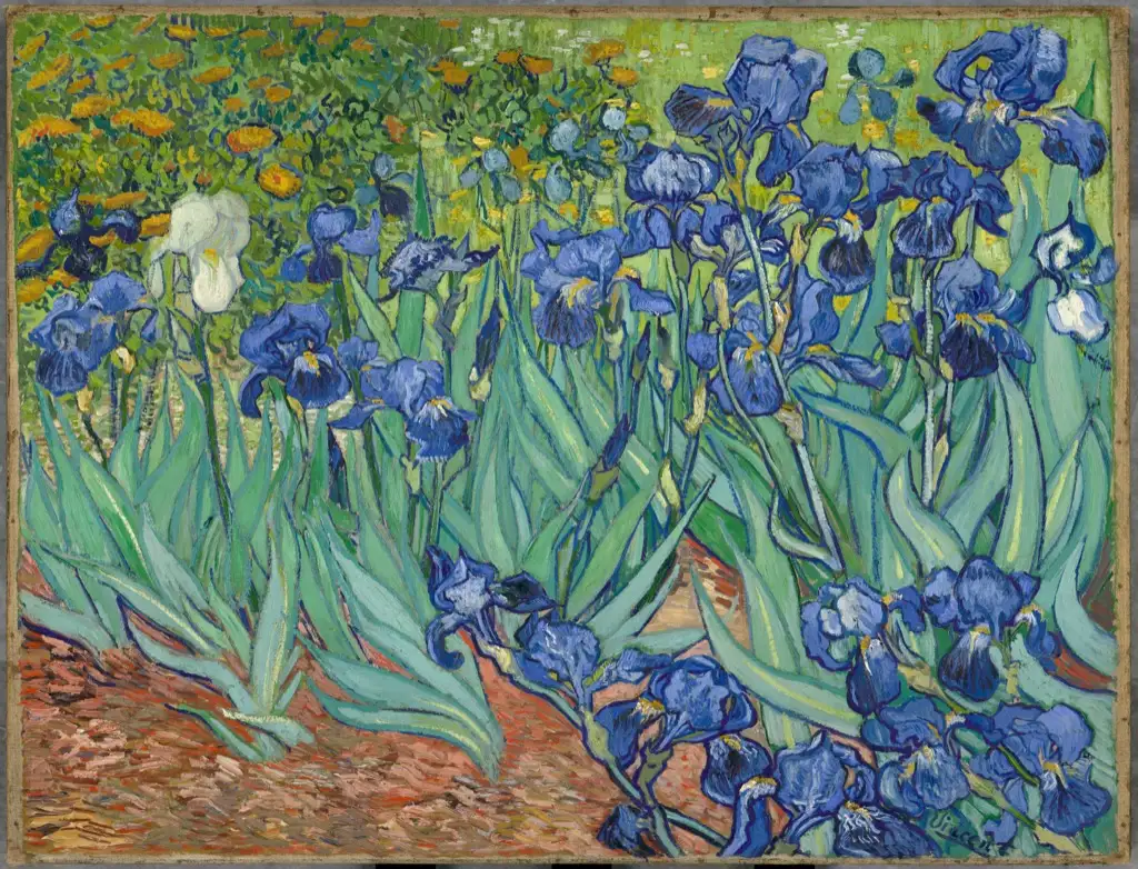 Irises 1889 Van Gogh