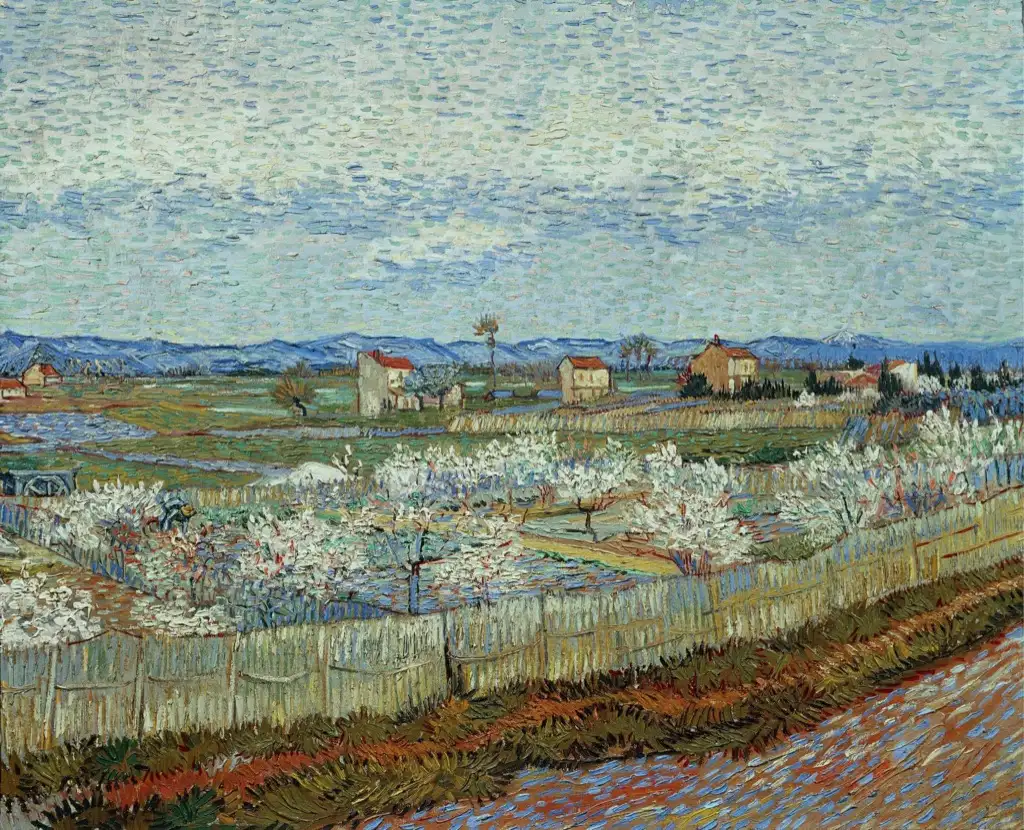La Crau with Peach Trees in Bloom Van Gogh