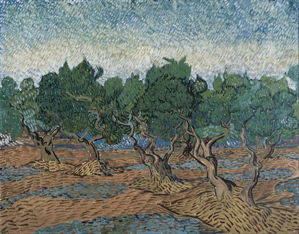 Olive grove November 1889 December 1889 Van Gogh