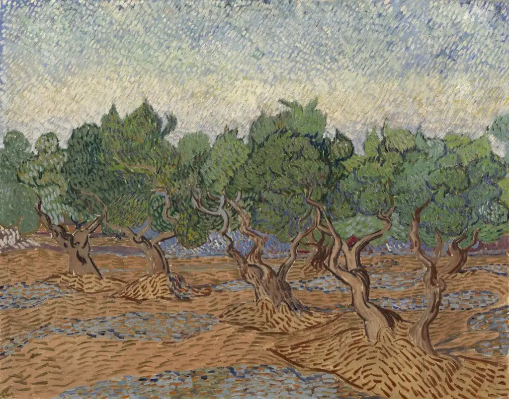 Olive Grove3 Van Gogh