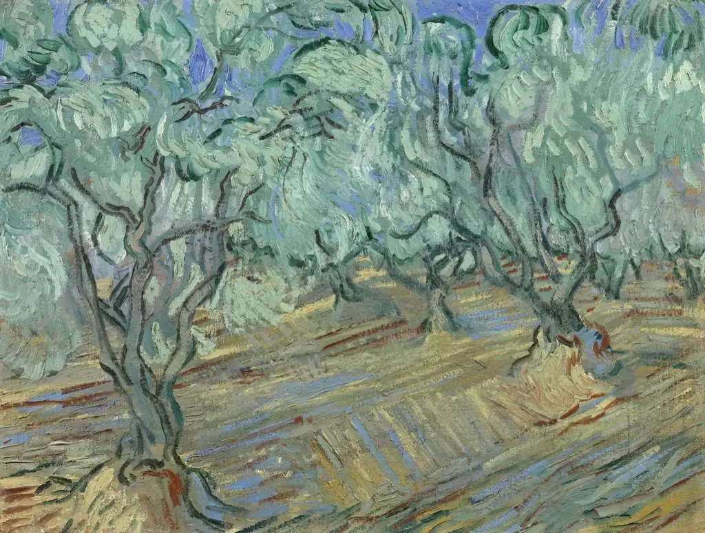 Olive Grove4 Van Gogh