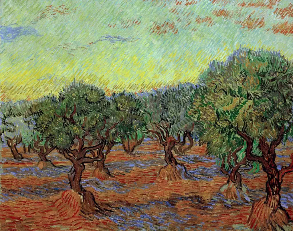 Olive Grove5 Van Gogh