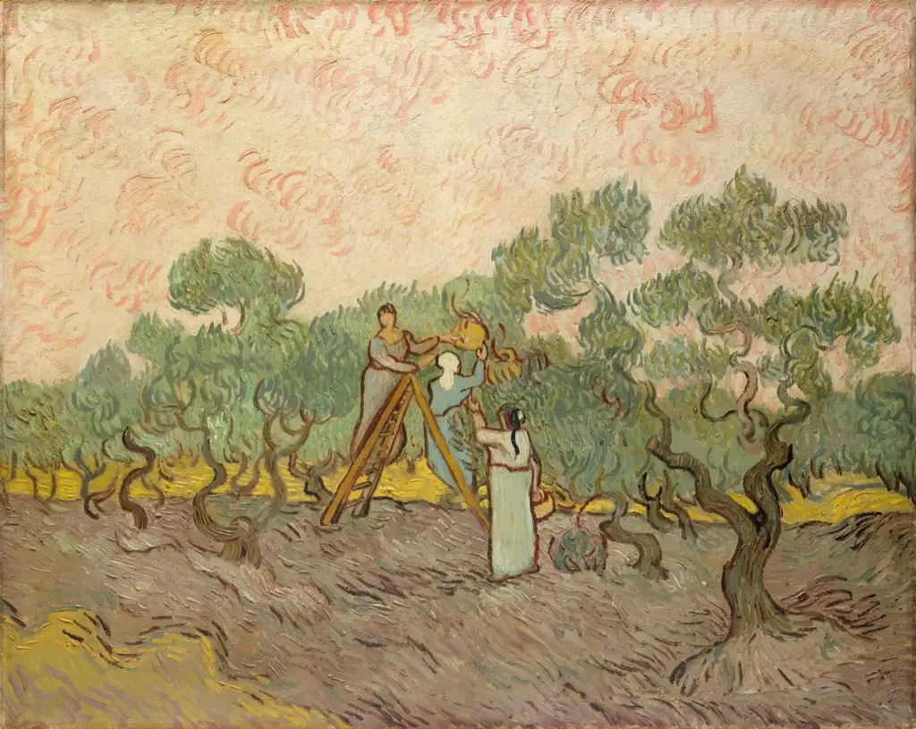 Olive Grove7 Van Gogh