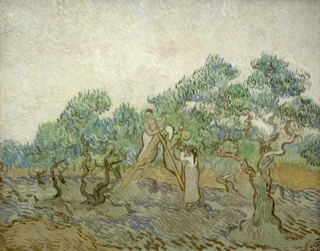 Olive Grove8 Van Gogh