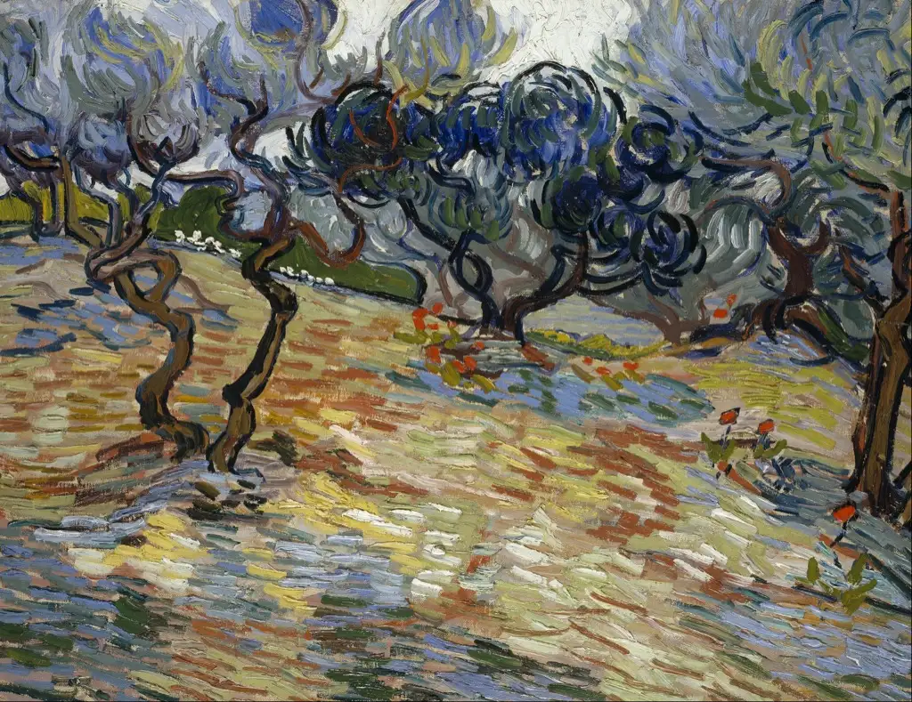 Olive Trees 1889 Van Gogh