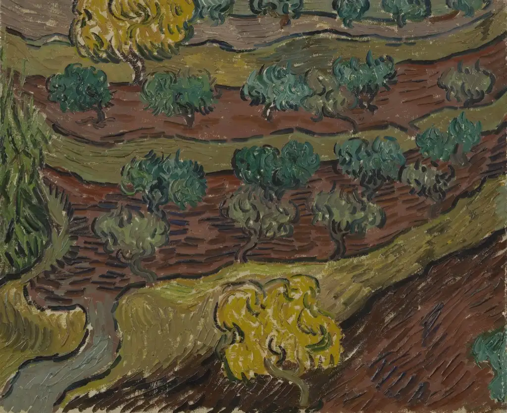Olive Trees on a Hillside Van Gogh