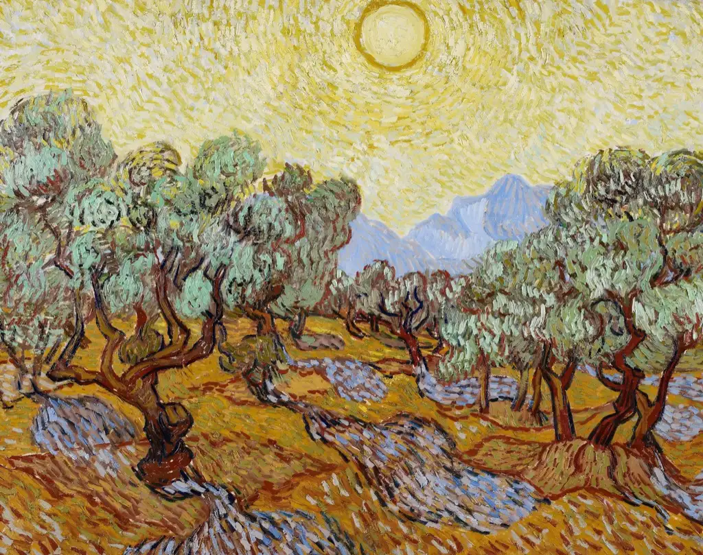 Olive Trees with Yellow Sky and Sun Van Gogh
