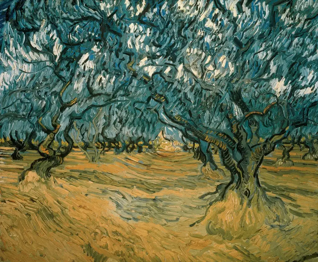 Olive Trees3 Van Gogh