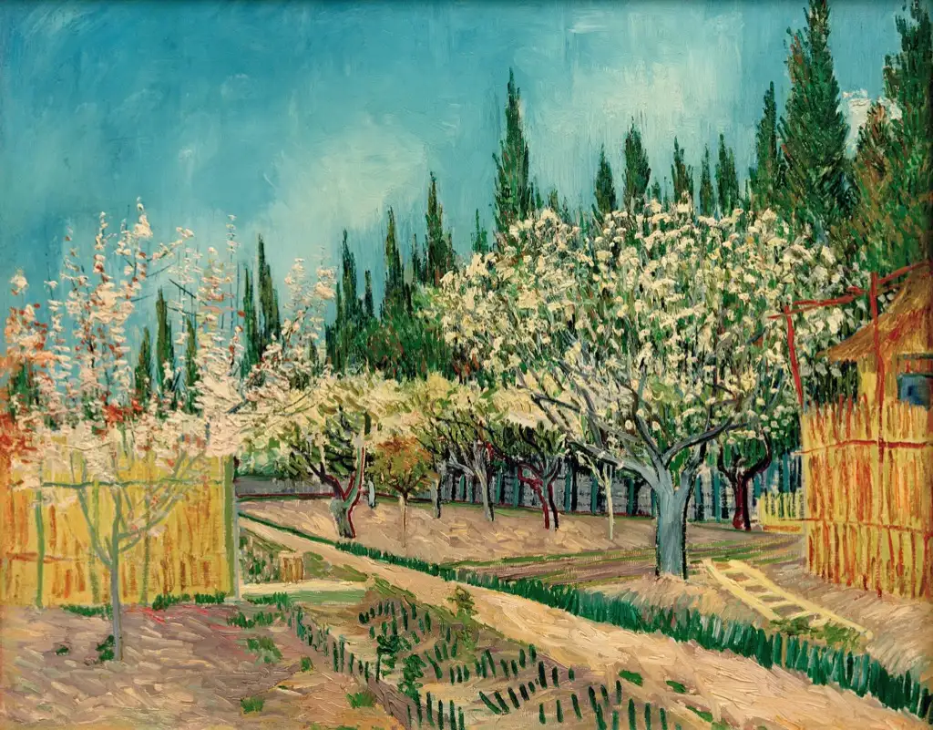 Orchard in Blossom Bordered by Cypresses Van Gogh