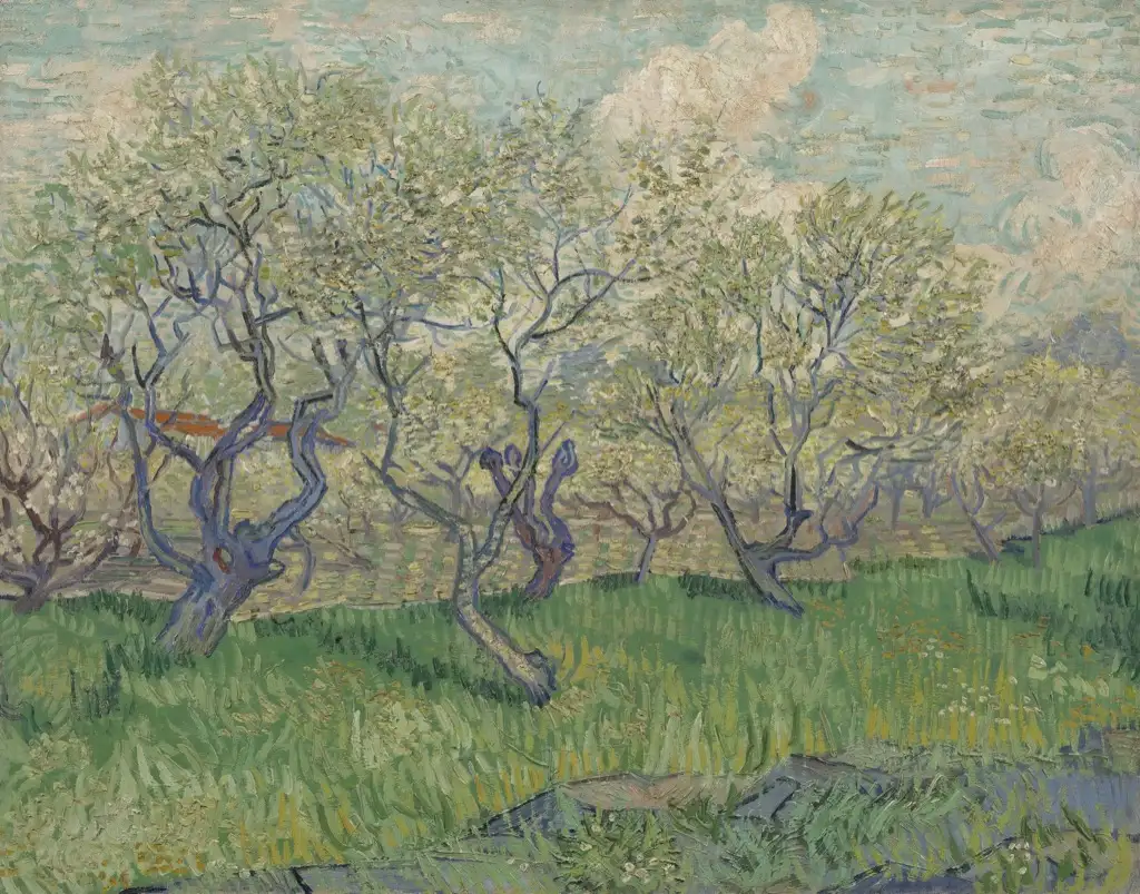 Orchard in Blossom Van Gogh