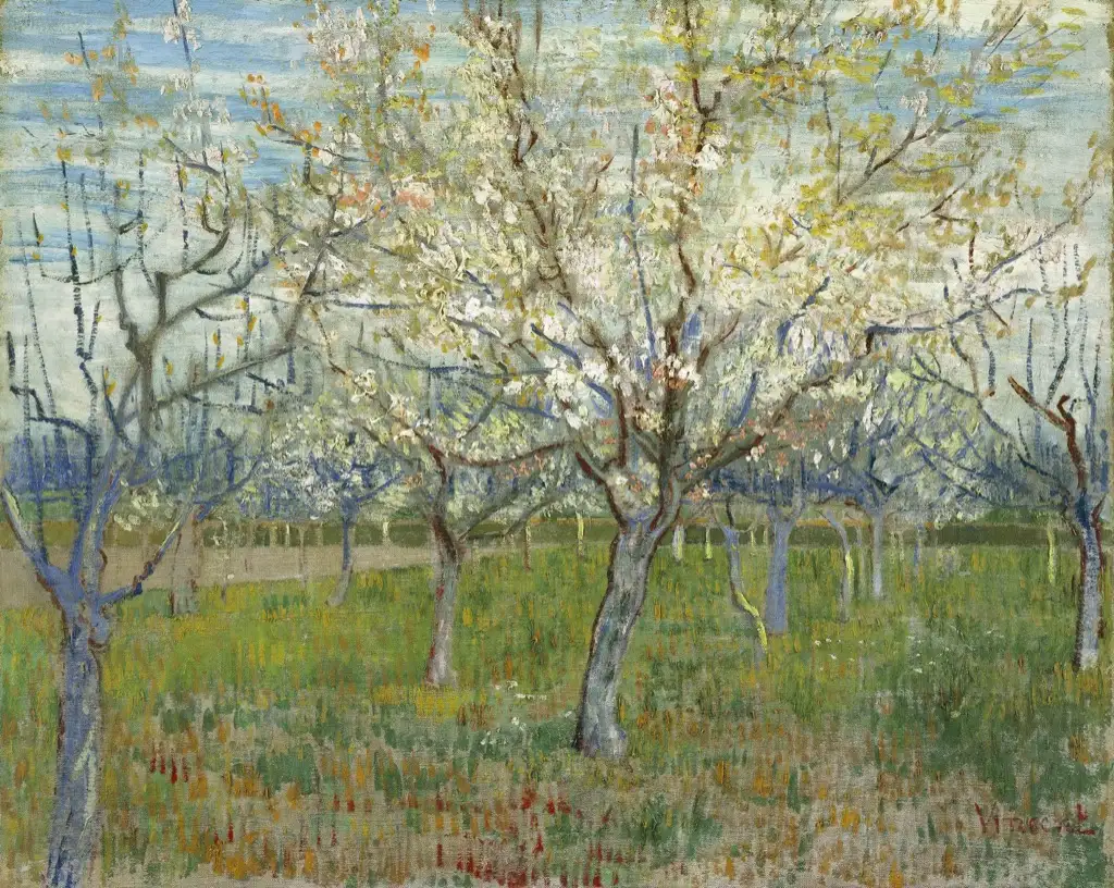 Orchard with Blossoming Apricot Trees Van Gogh