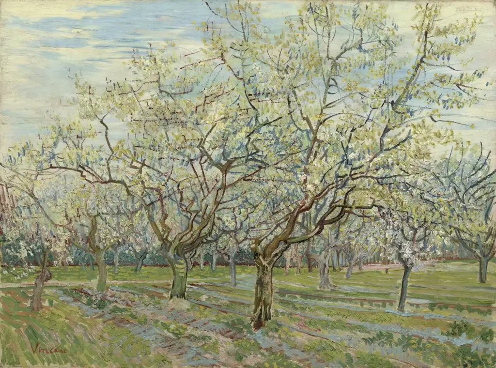 Orchard with Blossoming Apricot Trees2 Van Gogh