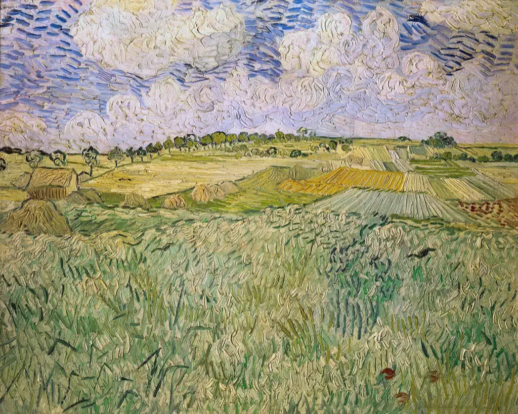 Plain of Auvers Van Gogh