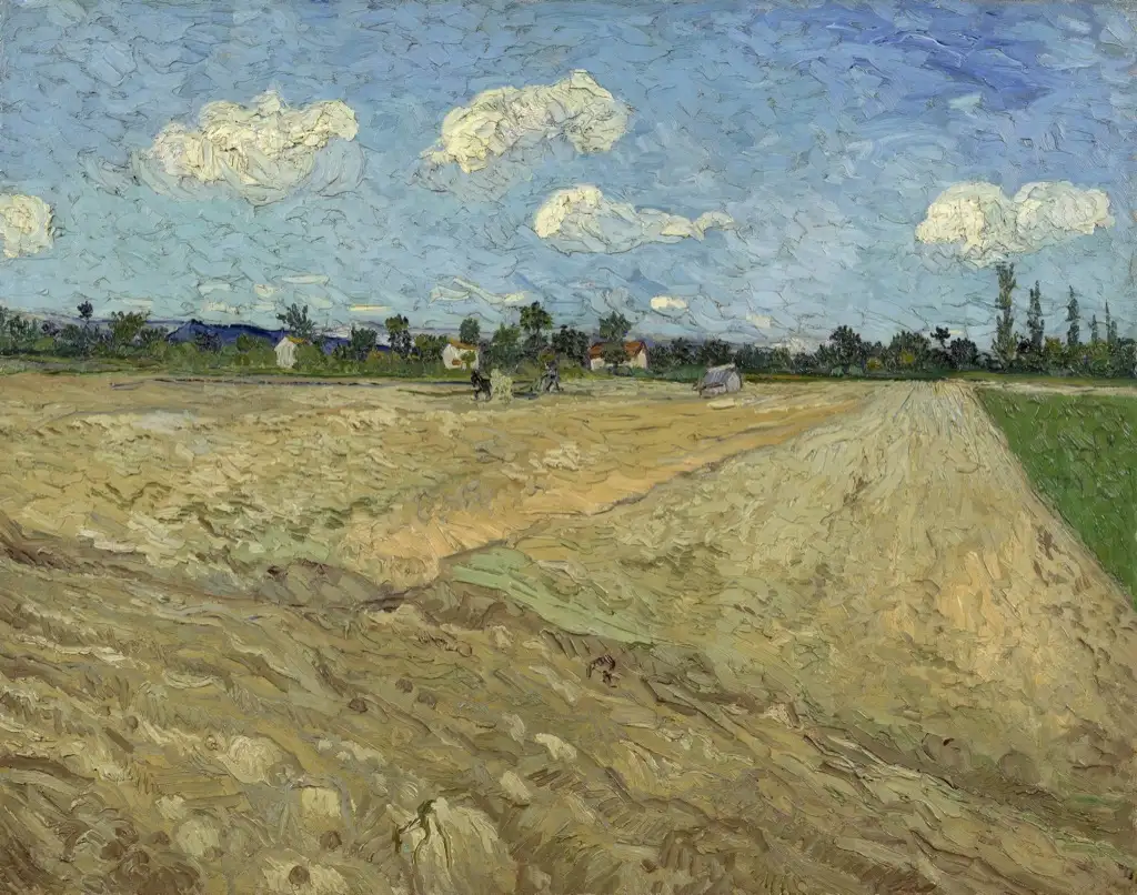 Ploughed Field Van Gogh