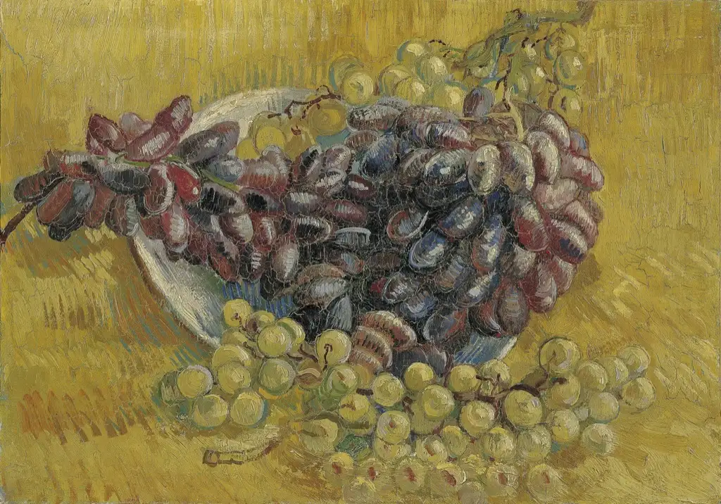 Still Life with Grapes Van Gogh