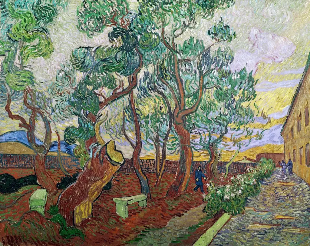 The Garden of Saint-Paul Hospital4 Van Gogh