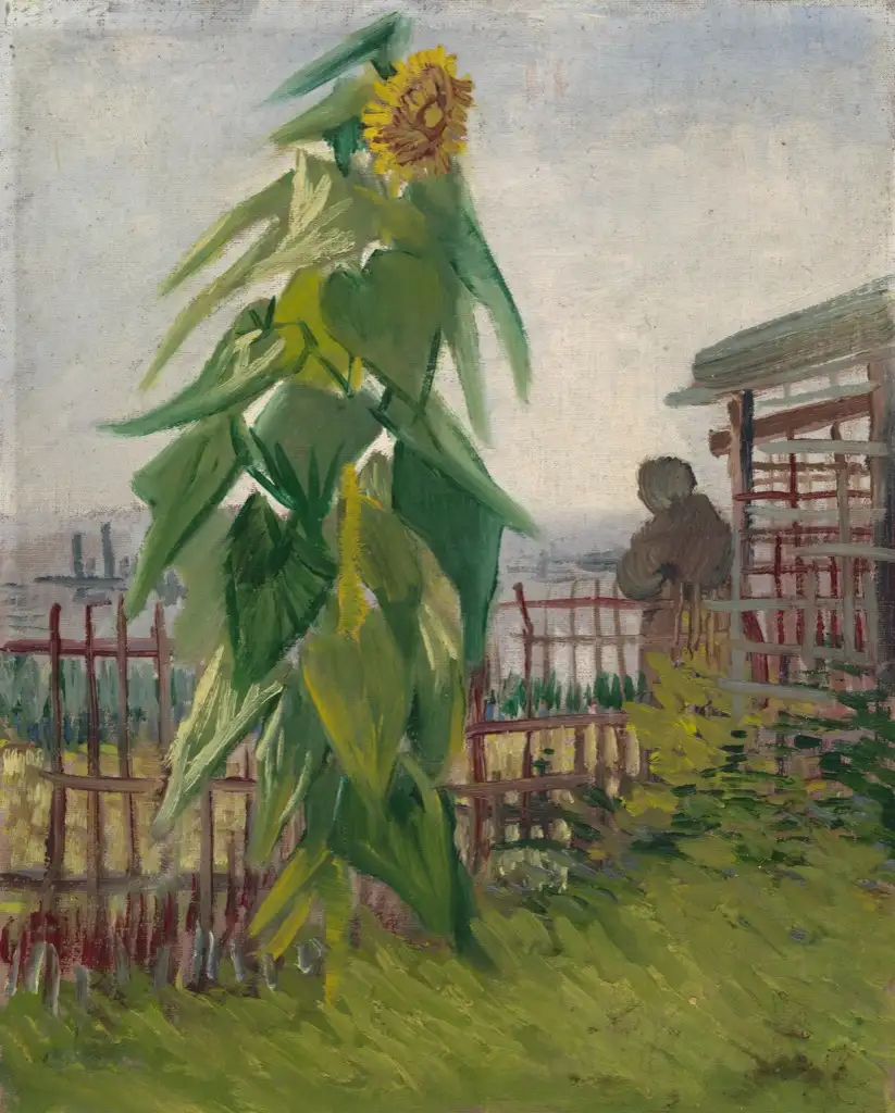 The Garden with Sunflower Van Gogh