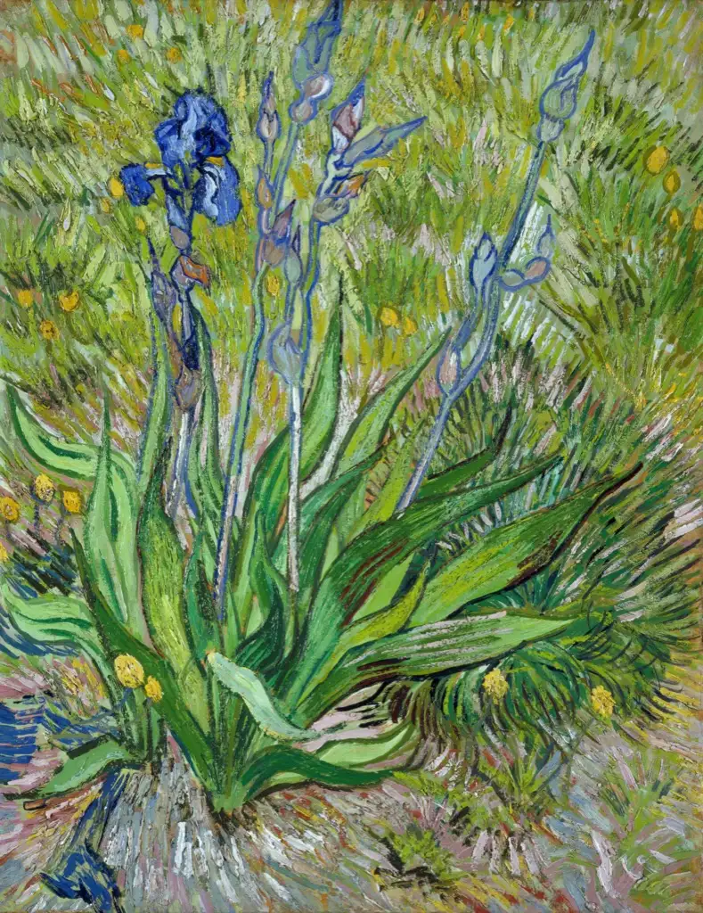 The Iris Van Gogh