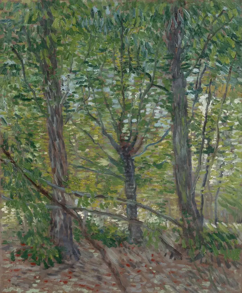 Trees Van Gogh