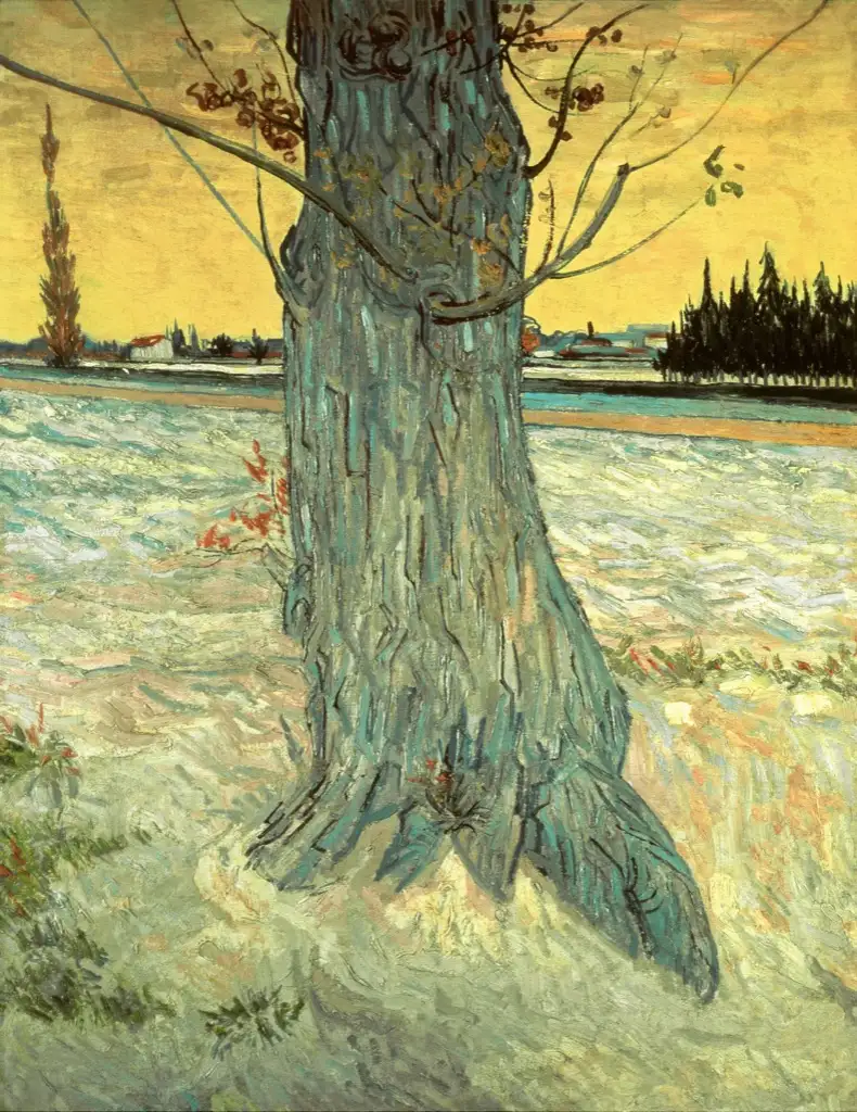 Trunk of an Old Yew Tree Van Gogh