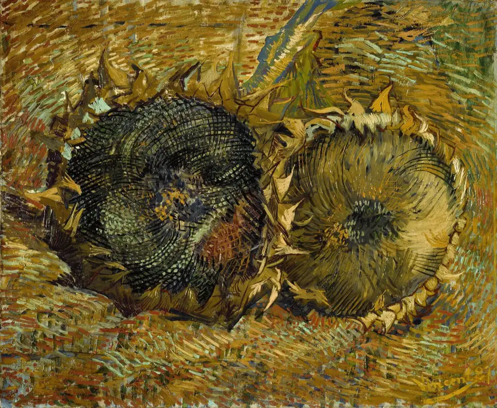 Two Cut Sunflowers Van Gogh