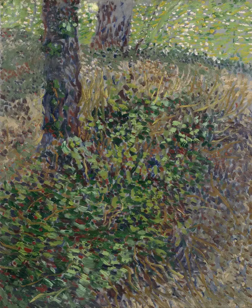 Undergrowth Van Gogh