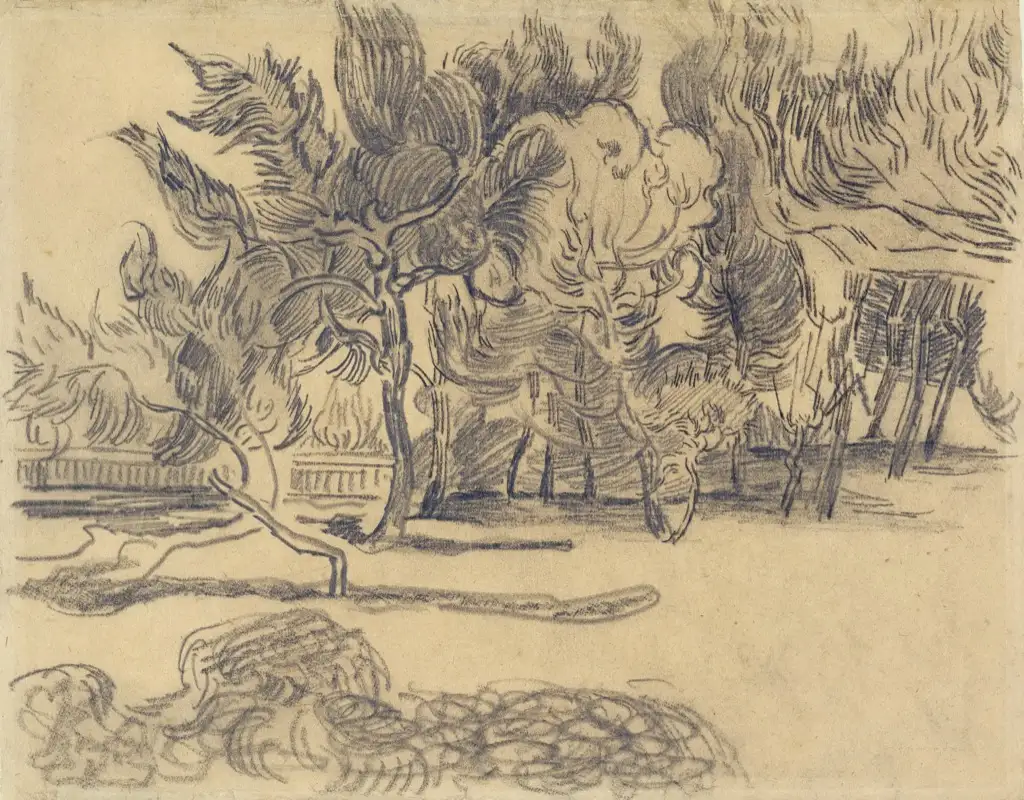 Van Gogh Sketch Van Gogh