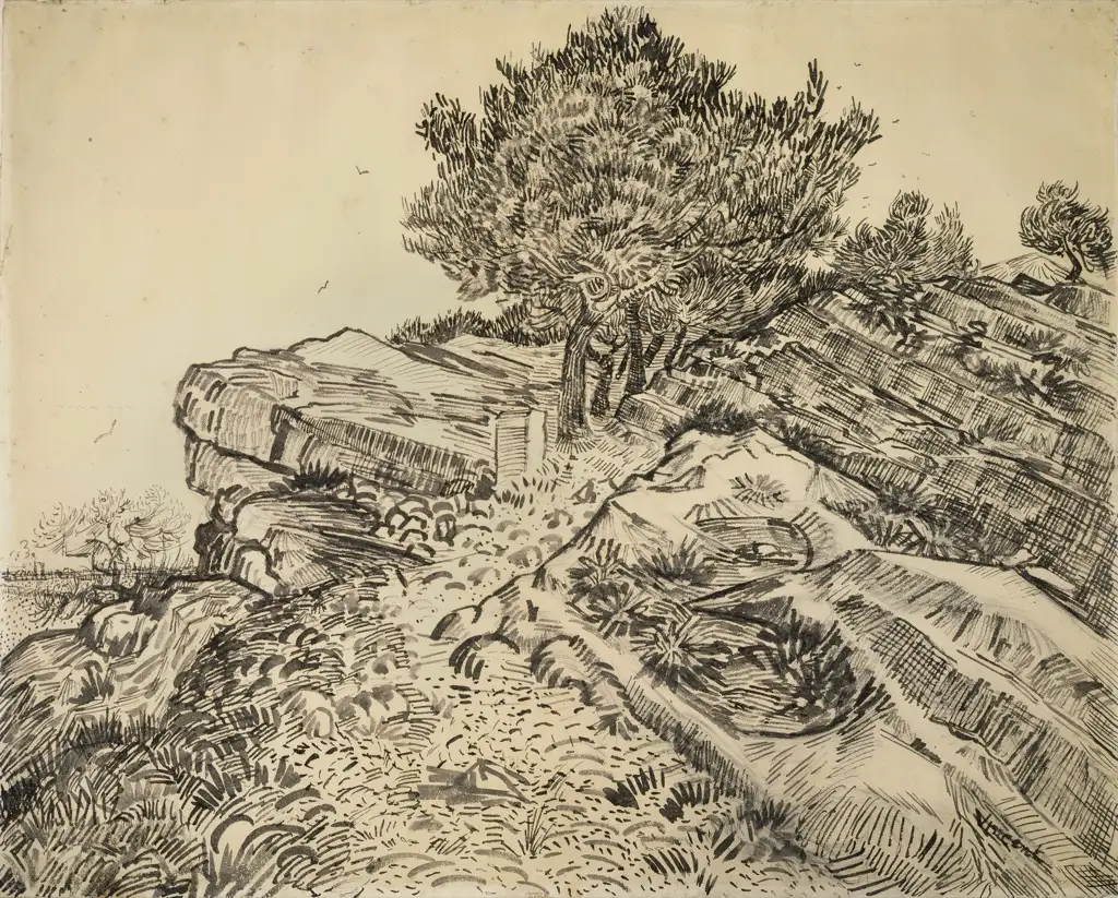 Van Gogh Sketch Van Gogh