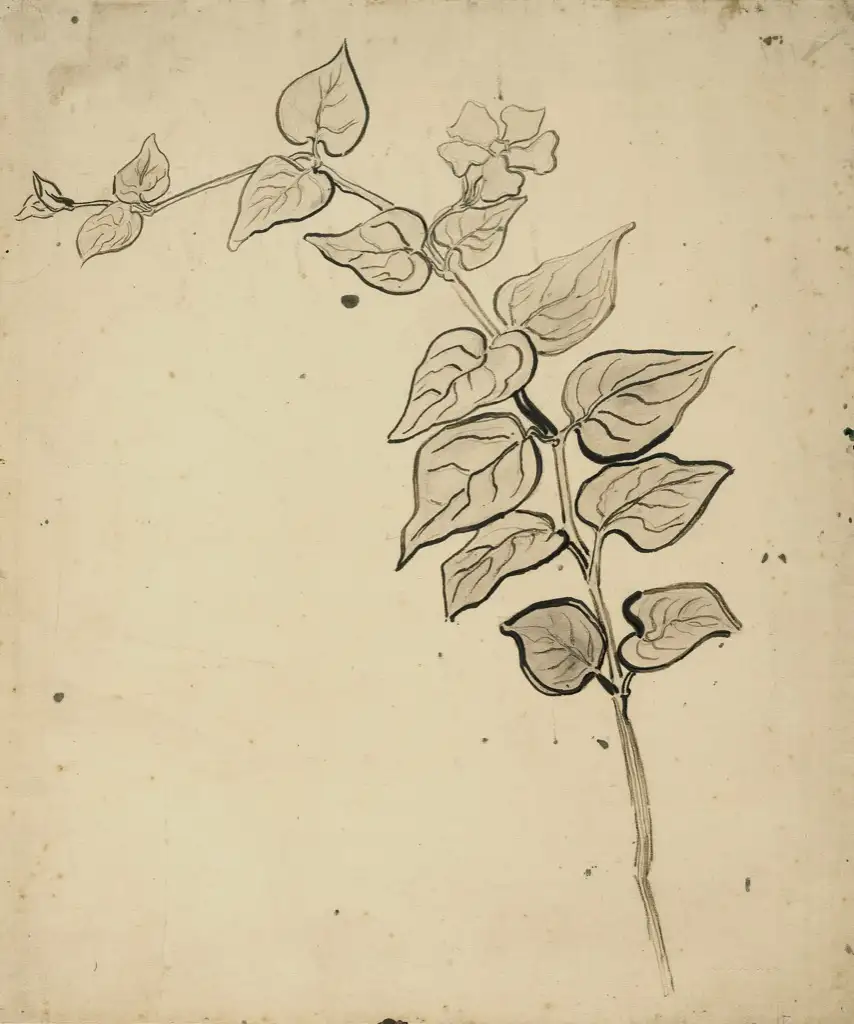 Van Gogh Sketch Van Gogh