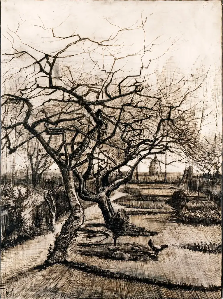 Van Gogh Sketch Van Gogh