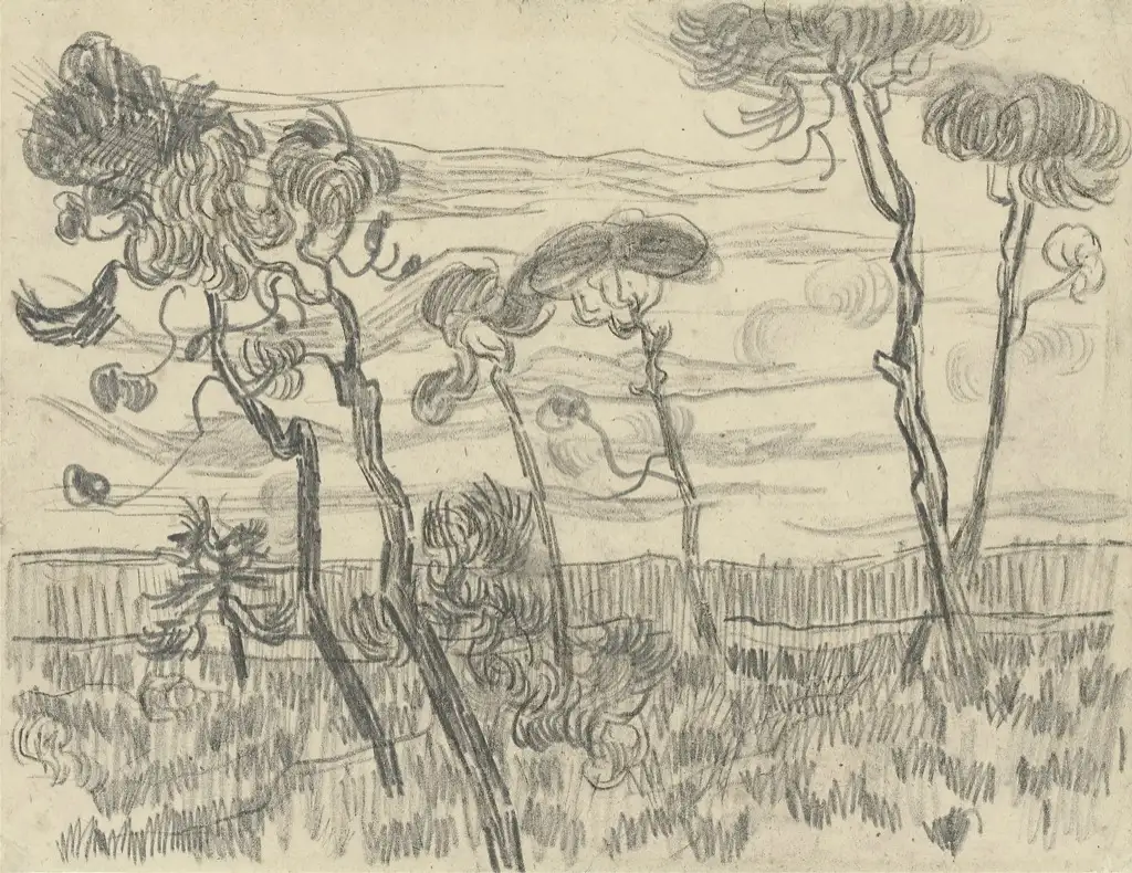 Van Gogh Sketch Van Gogh