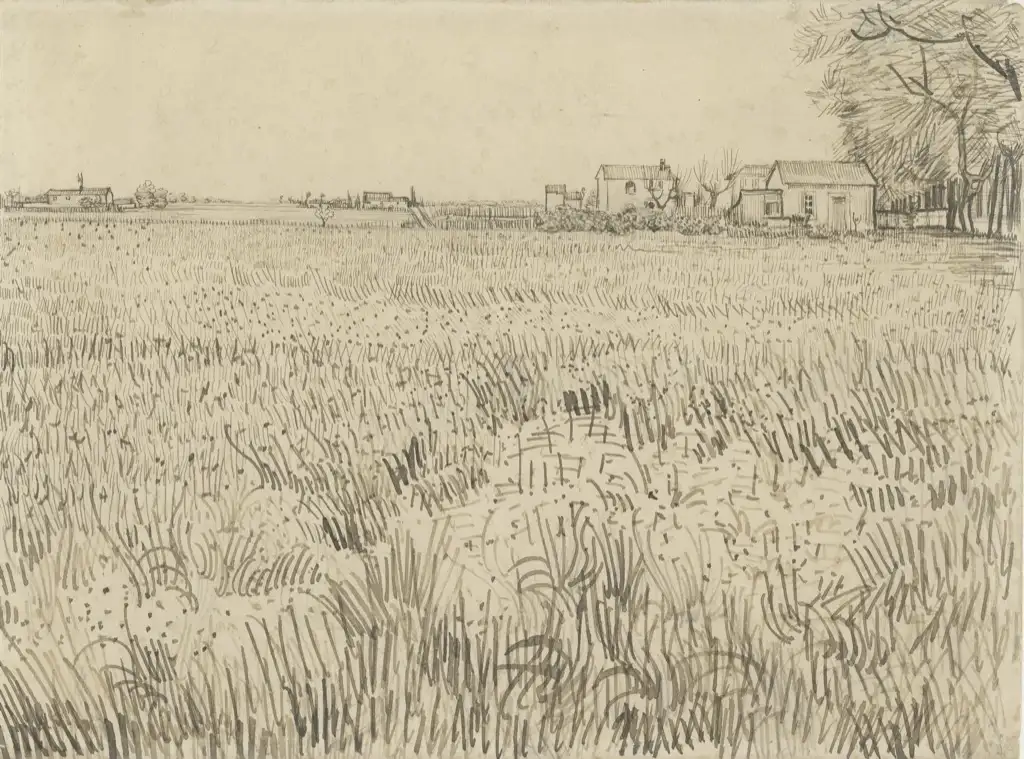 Van Gogh Sketch Van Gogh