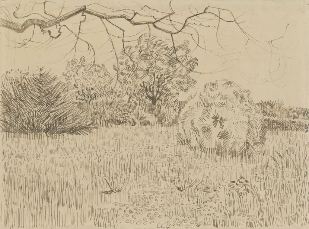 Van Gogh Sketch Van Gogh
