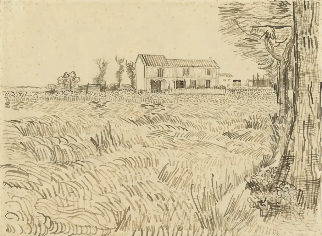 Van Gogh Sketch Van Gogh
