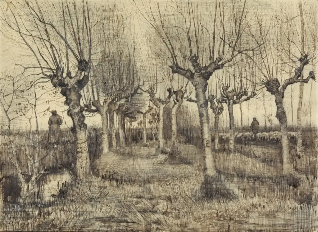 Van Gogh Sketch Van Gogh